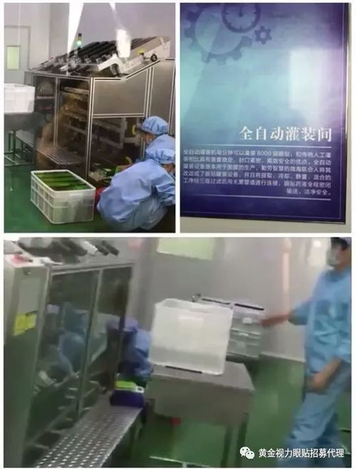 黃金視力眼貼新工廠開放日 代理商參觀見證品質升級，國內廣告布局引領市場新浪潮